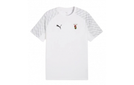 Surmaillot Teamrise PUMA - logo floqué
