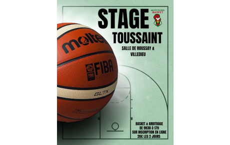 Stages de la Toussaint - Basket et arbitrage