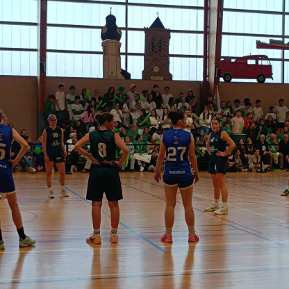 Coupe de l'Anjou Senior filles